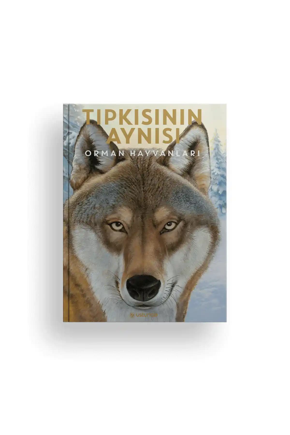 Orman Hayvanları: Çocuklar İçin Resimli Ansiklopedi ve Doğa Bilgileri Rehberi