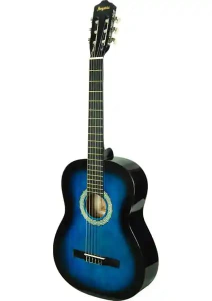 Segovia SGC100BLS ve Valencia VC404 Klasik Gitar Modellerinin Detaylı Karşılaştırması