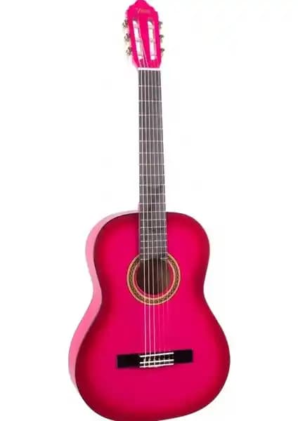 Valencia VC104 Pembe ve Siyah Cutaway Klasik Gitar Karşılaştırması