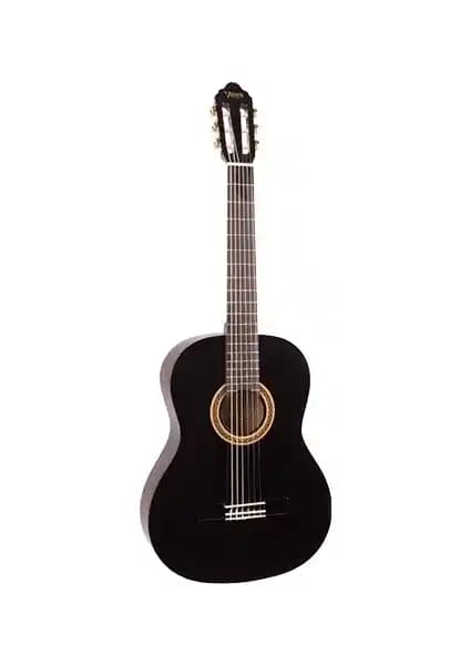 Valencia VC104TBK ve VC304ASB Klasik Gitar Modellerinin Detaylı Karşılaştırması