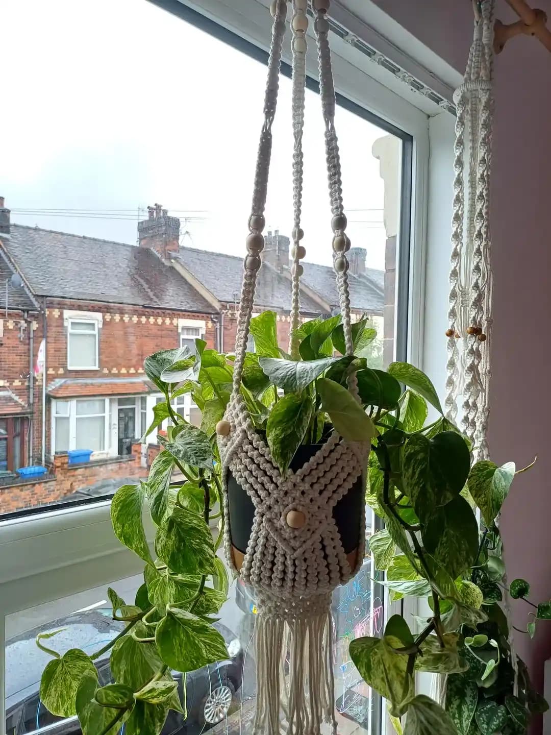 Makrame Bitki Askısı Yapımı: Teknikler, Zorluklar ve Bitki Sağlığına Etkileri