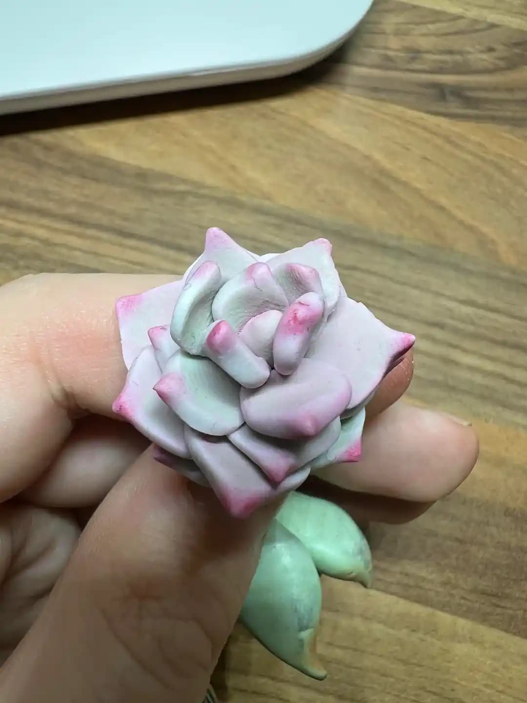 Polimer Kil ile Anahtarlık İçin Sukulent Yapımı ve Karşılaşılan Zorluklar