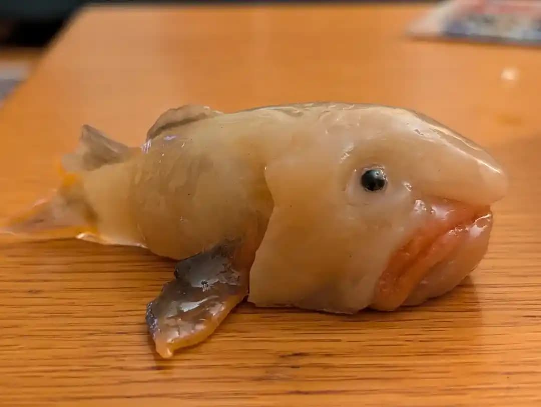 Polimer Kil ile Gerçekçi Blobfish Heykeli Yapımı ve Derin Deniz Canlılarının Özellikleri