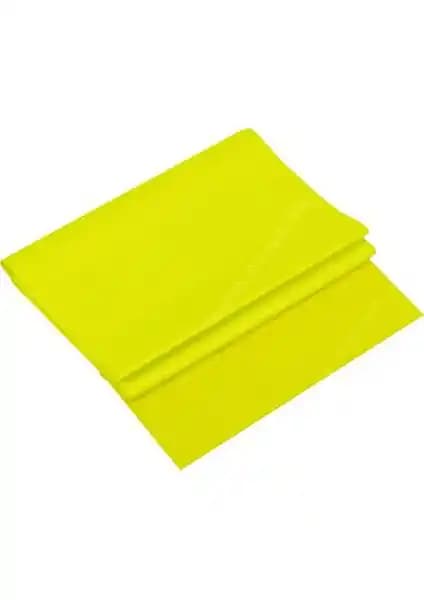 Thera-Band Egzersiz Plates Bandı: Dayanıklı ve Taşınabilir Kas Güçlendirme Aracı