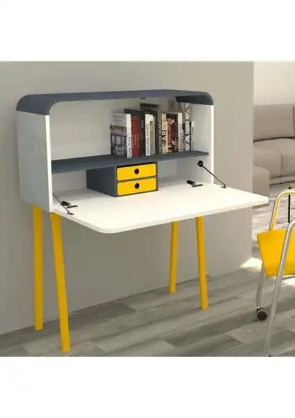 Betroya Teddy ve Orfis Puerta Çalışma Masası Karşılaştırması ve Seçim Rehberi 2