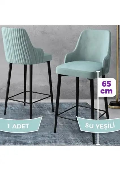 Canisa Concept Bar Sandalyesi Karşılaştırması: Fora ve Tera Serisi Özellikleri ve Farkları 2