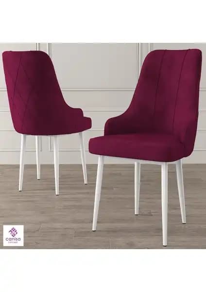Canisa Concept Trex Serisi Sandalyeler Karşılaştırması Beyaz ve Siyah Metal Ayaklı Modellerin Özellikleri 1