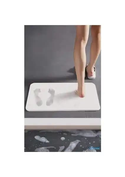 Diatom Paspas ve Diatomit Paspas Karşılaştırması: Hangi Ürün Sizin İçin Uygun