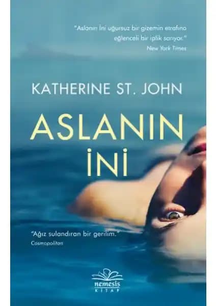 Aslanın İni: Zenginlik, ihanet ve hayatta kalma temalarını işleyen sürükleyici roman