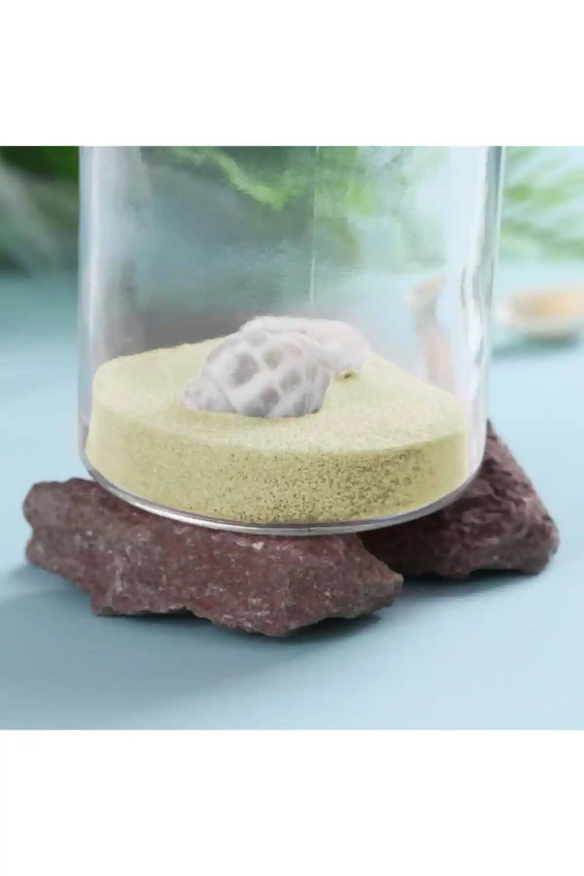 Aker Hediyelik Beyaz Silis Kumları: Teraryum ve Deniz Plaj Temalı Dekorlar İçin 1 kg