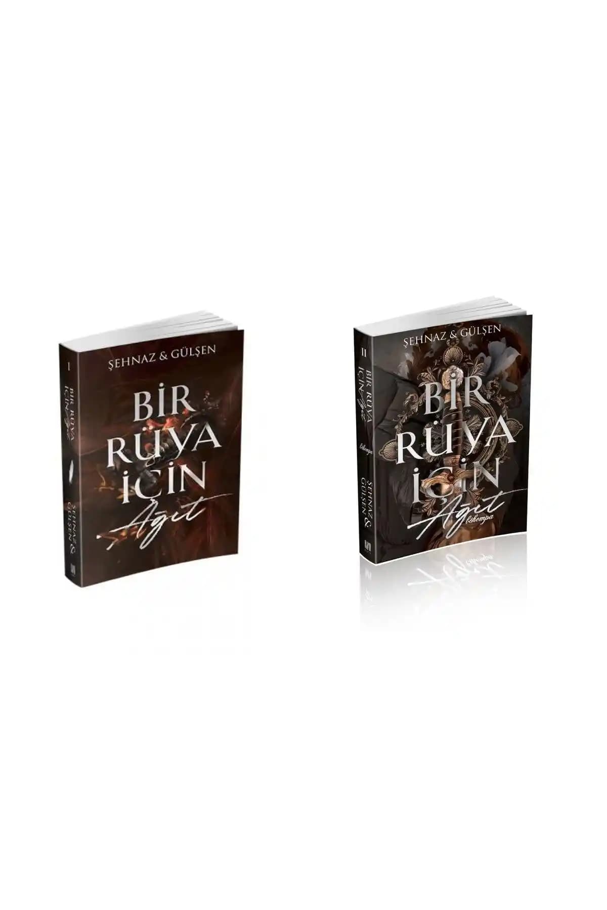 Bir Rüya İçin Ağıt 2 Kitap (ciltsiz Set): Gençlik Romanlarında Kimlik Arayışı ve Arkadaşlık