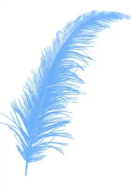 Elite Tüy 100 Adet Süsleme Tüyü Mavi 12 cm – Dekoratif Balon ve Masa Süsleme