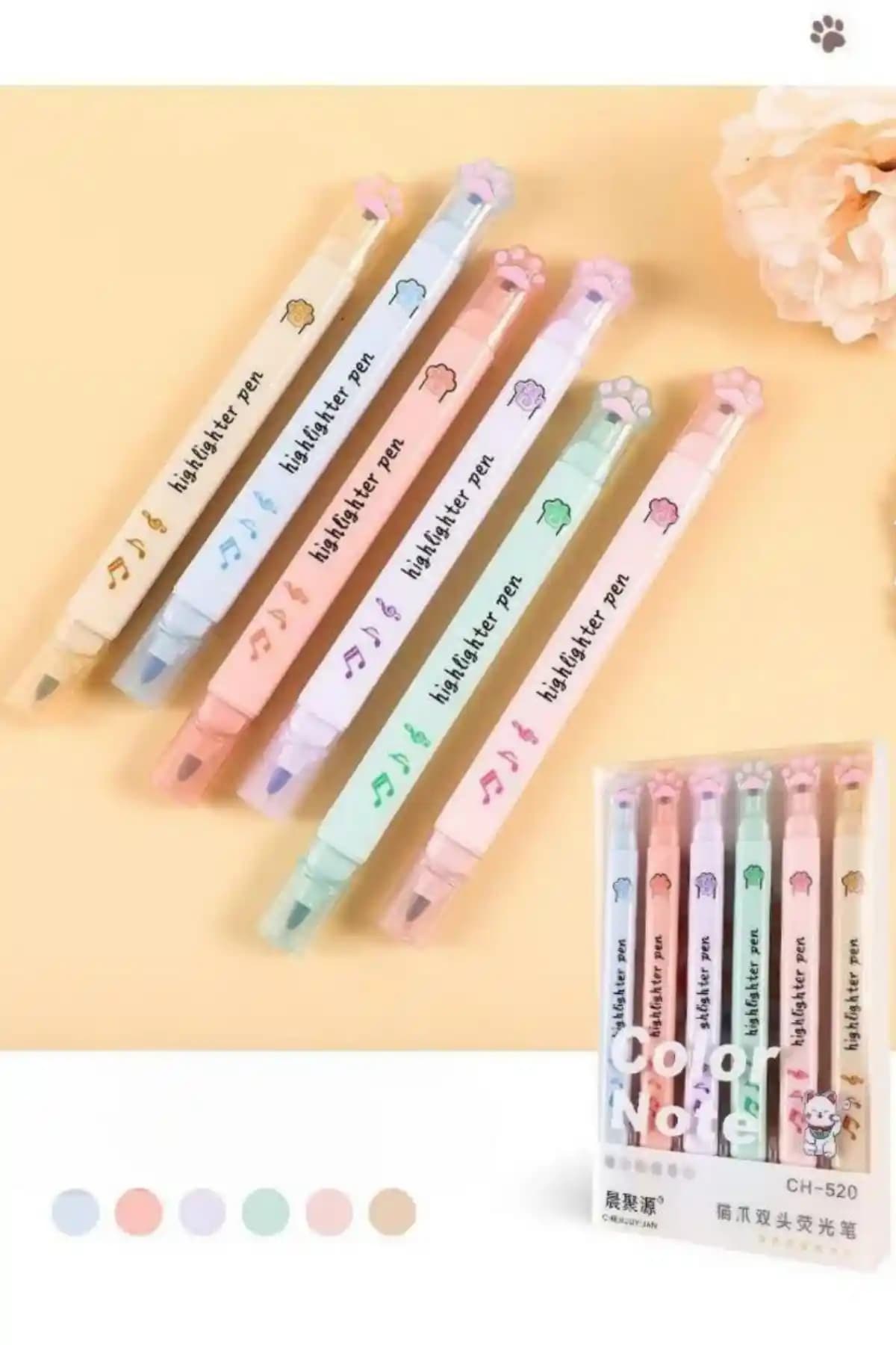 NaSaDAN Çift Taraflı Pati Fosforlu Kalem Seti: Yazımda Esneklik ve Renkli Vurgular