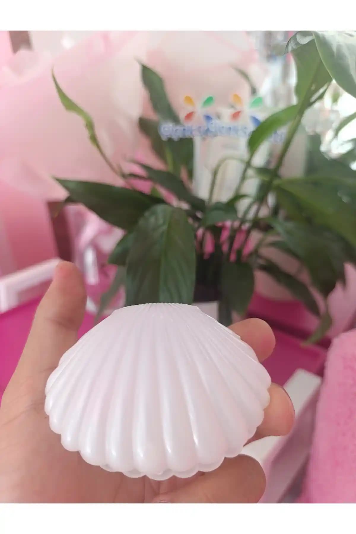 Aker Hediyelik İstiridye Hediye Kutusu: Şık ve Fonksiyonel Hediye Ambalajı