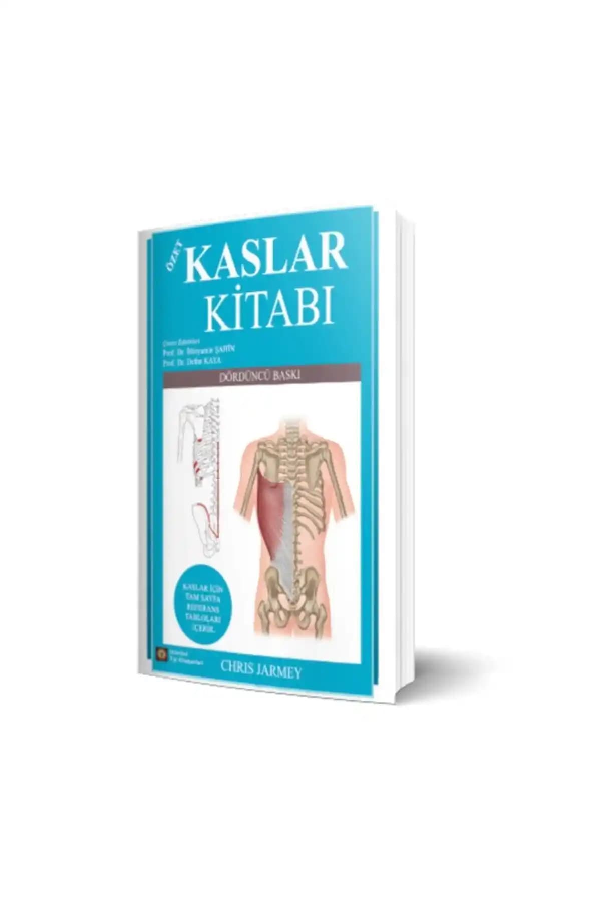 İstanbul Tıp Kitabevi Kaslar Kitabı: Kapsamlı ve Detaylı Anatomi Kaynağı