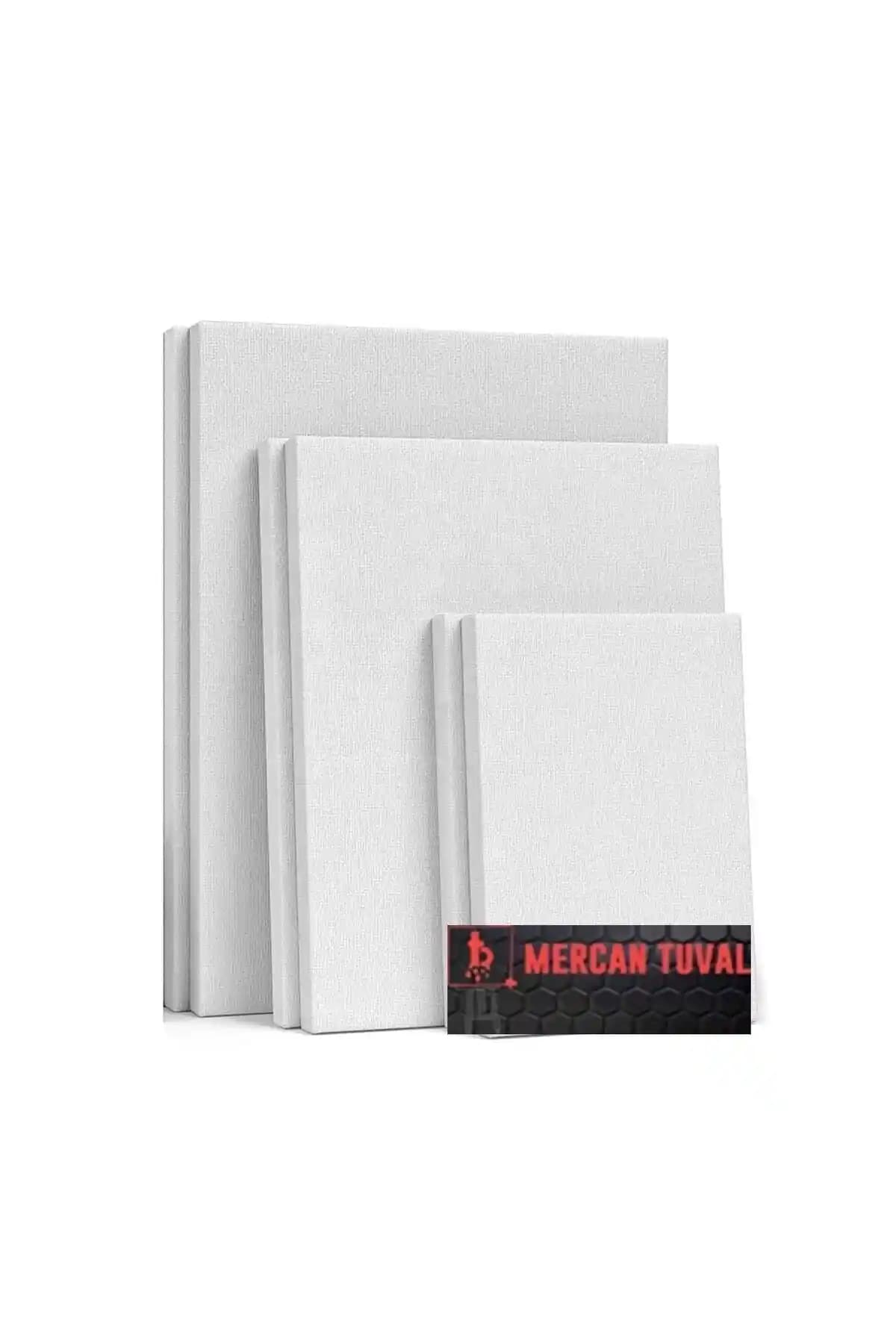 Mercan Tuval 6'lı Set: Çok Boyutlu ve Dayanıklı Sanat Tuvali İncelemesi