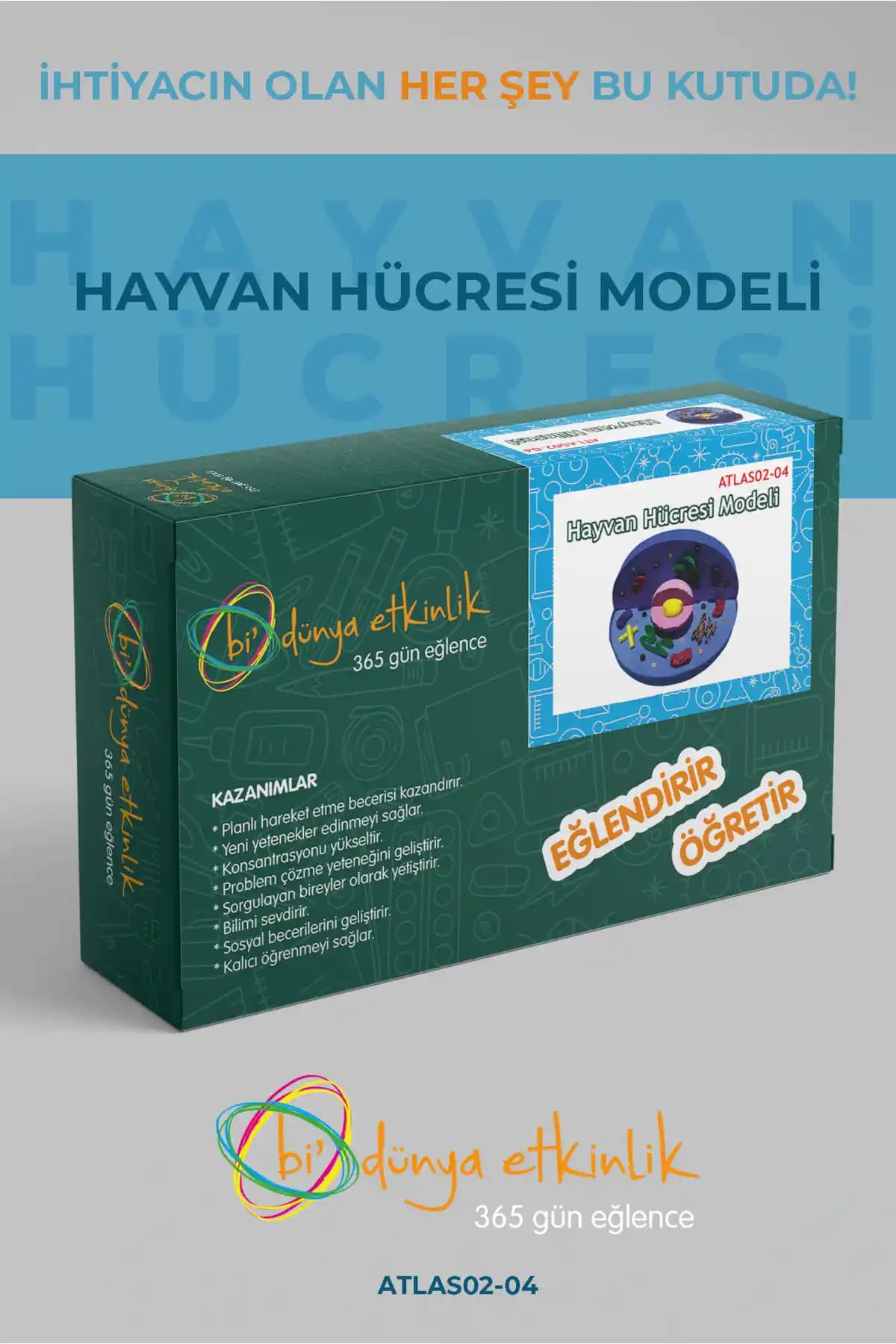 Bi Dünya Hayvan Hücresi Modeli Deney Seti: Öğrenciler ve Eğitim Kurumları İçin Bilimsel Öğrenme Aracı