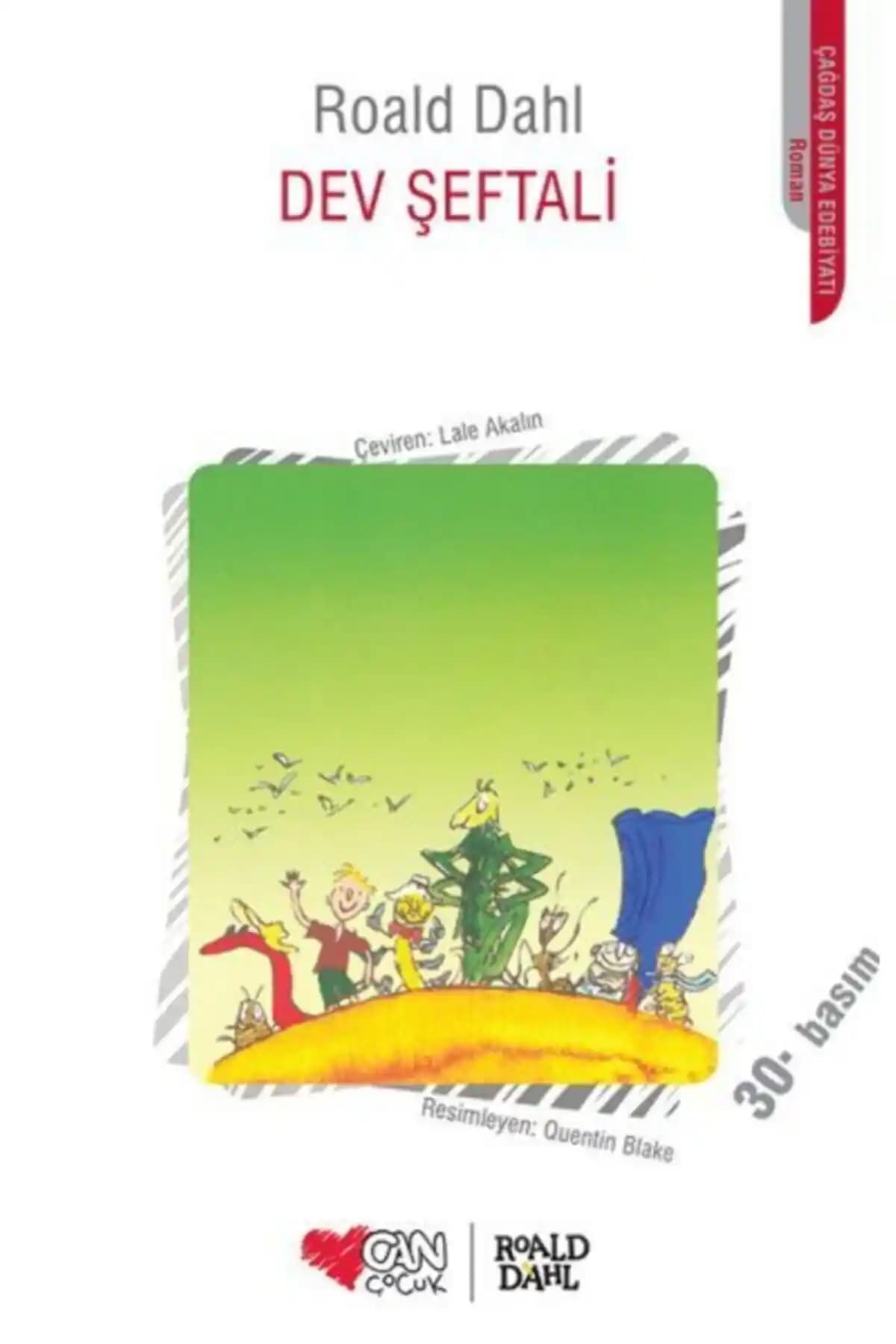 Can Çocuk Dev Şeftali: Gençler İçin Eğlenceli ve Geliştirici Bir Roman Seçeneği