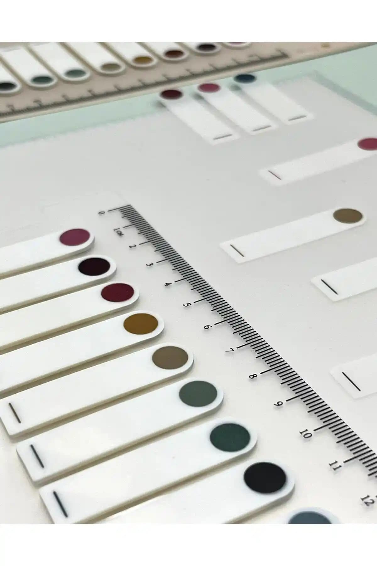 Çok Renkli Yuvarlak Kenar Şeffaf İndeks Sticker Seti Günlük Planlama ve Sanatsal Projeler İçin