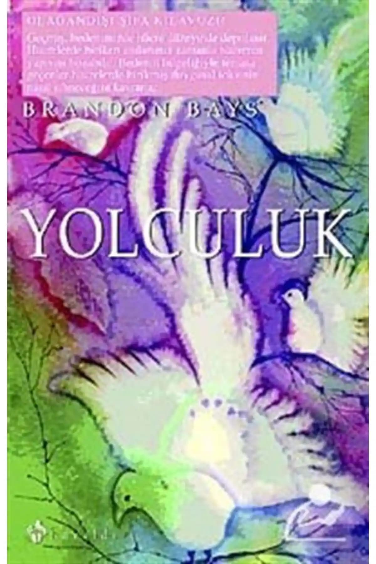 Genel Markalar Yolculuk: Brandon Bays'in Duygusal ve Bedensel Şifa Rehberi