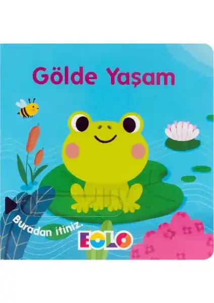 Göl Ekosistemini Tanıtan Eğitici ve Dayanıklı Çocuk Kitabı