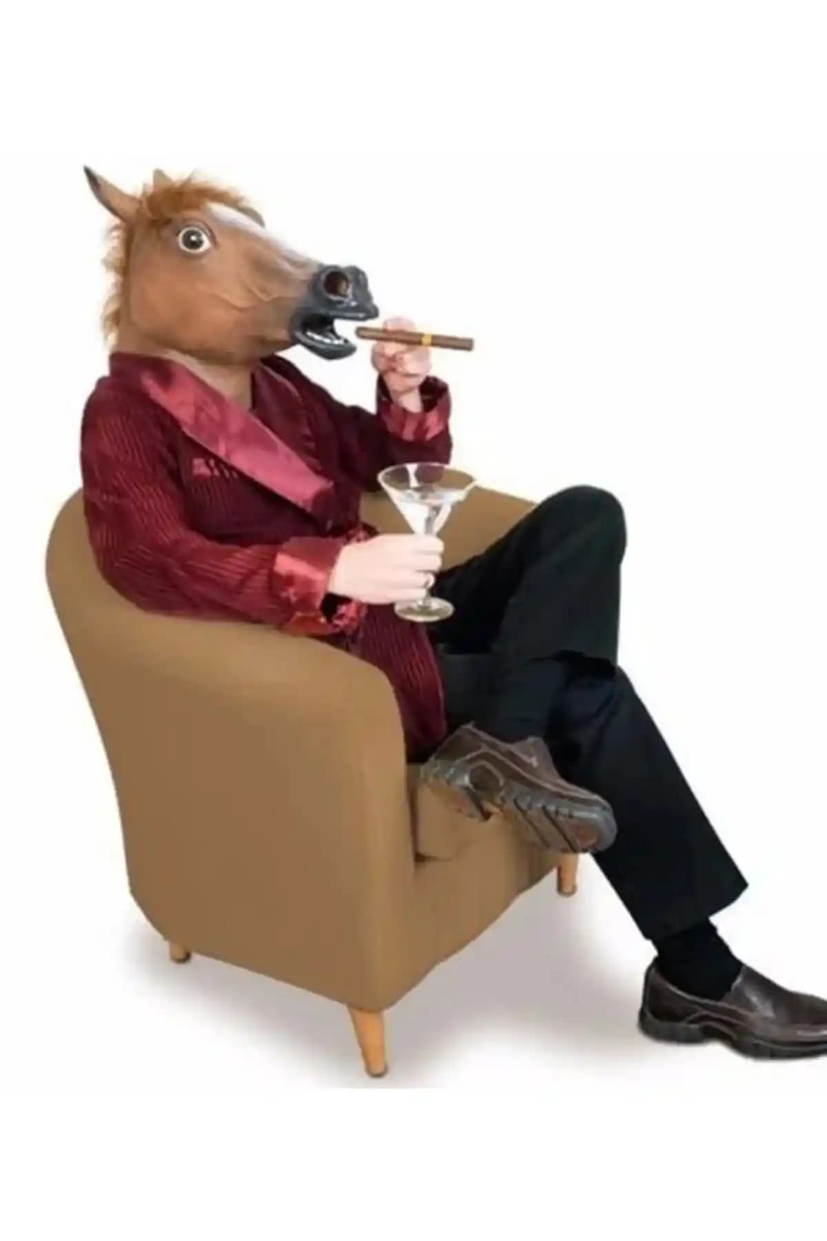 Samur Reila Parti Gerçekçi Lateks At Kafası Maskesi Detaylı İnceleme ve Kullanım İpuçları