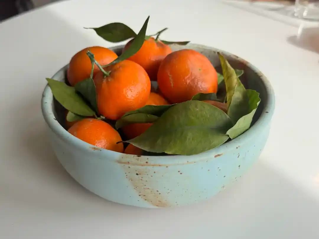 Seramikte Mavi Kase: Kil, Sırlama ve Pişirme Koşullarının Estetik ve Fonksiyonel Etkileri