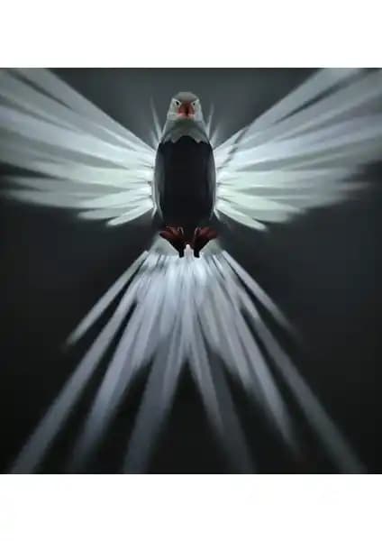 Work3d Kartal Modelli Dekoratif Aplik ile Evinize Güç ve Özgürlük Teması Katın