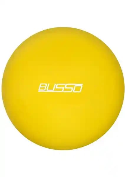 Busso ve Can Top Pompalı Pilates Topları Karşılaştırması 65 Cm Boyut ve Özellikler