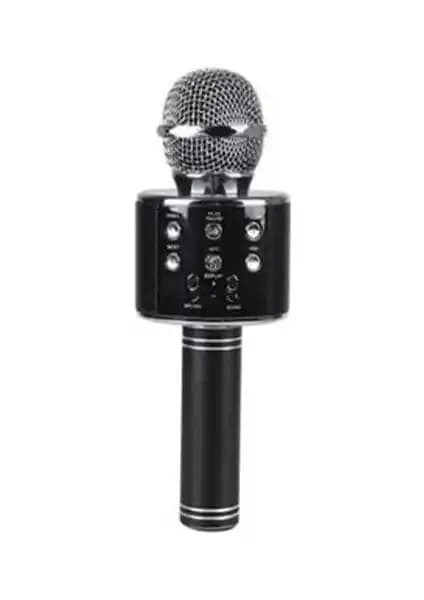 PolyGold PG-116 WS858 ve Tatu WS-858 Kareoke Mikrofonları Karşılaştırması