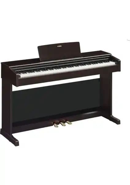 Yamaha YDP145R ve YDP165R Dijital Piyanoların Detaylı Karşılaştırması