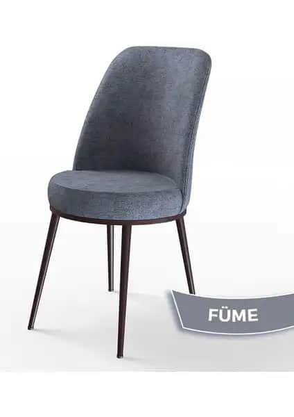 Canisa Concept DEXA Serisi Mutfak Sandalyesi Modern, Dayanıklı ve Şık Tasarım