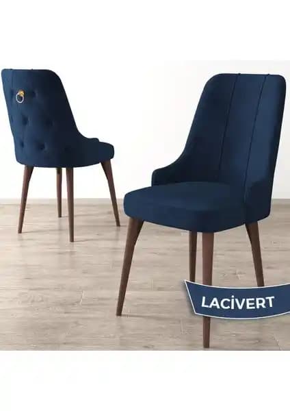 Canisa Concept Enoa Serisi Ceviz Renkli Modern ve Ergonomik Ayaklı Sandalye