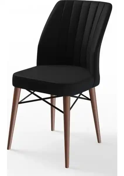 Canisa Concept Flex Serisi Gürgen Ayaklı Modern Oturma Sandalyesi Ürün Özellikleri ve Tasarımı