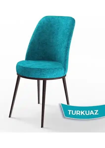 Canisa Dexa Serisi Mutfak Sandalyesi Modern Tasarım ve Yüksek Dayanıklılık Özellikleriyle