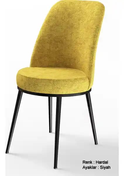 Canisa Dexa Serisi Sandalye: Modern Tasarım ve Dayanıklılık Sunan Çok Renkli Mobilya Seçeneği