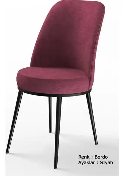 Canisa Dexa Serisi Sandalye: Modern Tasarım ve Yüksek Konfor Sunan Dayanıklı Ürün