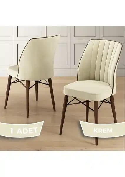 Canisa Nuna Serisi Mutfak Sandalyesi Modern Tasarım ve Dayanıklılık Özellikleri