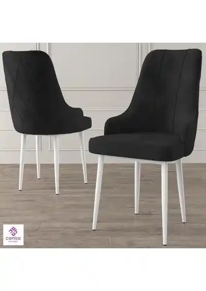 Canisa Trex Serisi Modern ve Dayanıklı Oturma Çözümü Yüksek Kalite Mobilya