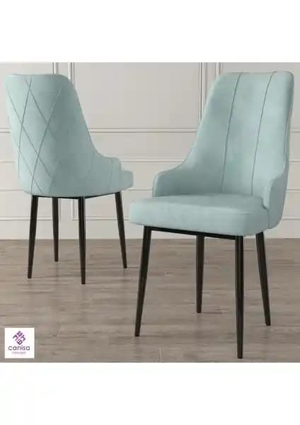 Canisa Trex Serisi Modern ve Dayanıklı Oturma Sandalyesi Özellikleri ve Kullanım İpuçları