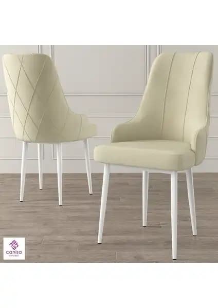 Canisa Trex Serisi Modern ve Şık Tasarımlı Dayanıklı Sandalye Modeli