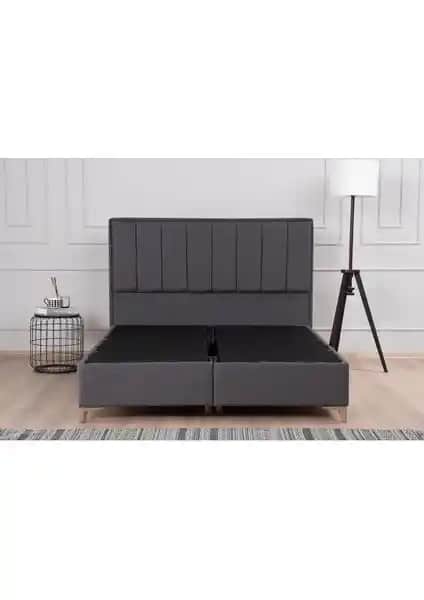 Kilim Mobilya Gold Therapy Sanlı Baza ve Başlık Seti Modern Tasarım ve Fonksiyonellik