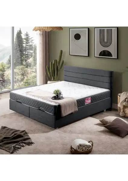 Setay Sofia İkili Kişilik Baza ve Başlık Seti Modern ve Dayanıklı Yatak Odası Dekoru İçin