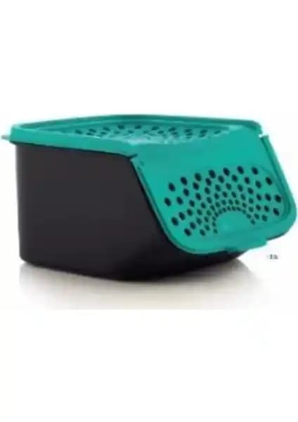 Tupperware Sarımsak Saklama Kabı ile Mutfakta Düzen ve Hijyen Sağlama Çözümü