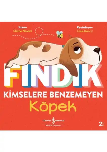 Fın<dı>k Kimselere Benzemeyen Köpek: Farklılıkların Gücü ve Kendine Güven Mesajı