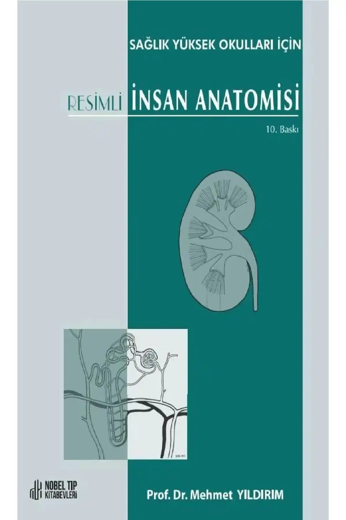 Resimli İnsan Anatomisi: Sağlık Eğitimi İçin Kapsamlı ve Görsel Bir Kaynak
