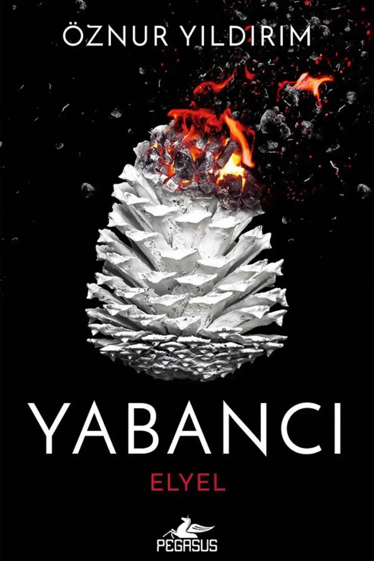 Yabancı Elyel Serisi Üçüncü Kitap İncelemesi: Temalar, Yazar ve İçerik Özellikleri