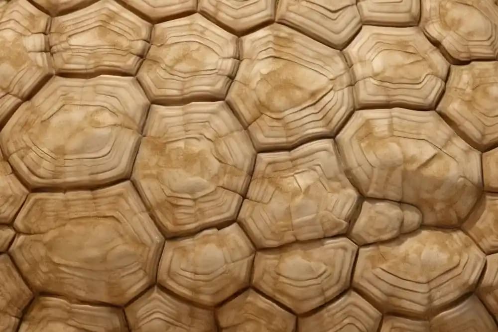 Seramikte Cam Görünümlü Transparan Sırlama Teknikleri ve Uygulamaları Detayları