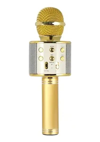 Evervox EVR KRK 02 ve PolyGold PG-116 WS858 Karaoke Mikrofonları Karşılaştırması