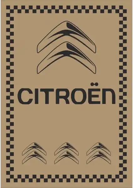 Murat Kağıt Oto Paspas: Citroen İçin Dayanıklı ve Ekonomik Temizlik Çözümü